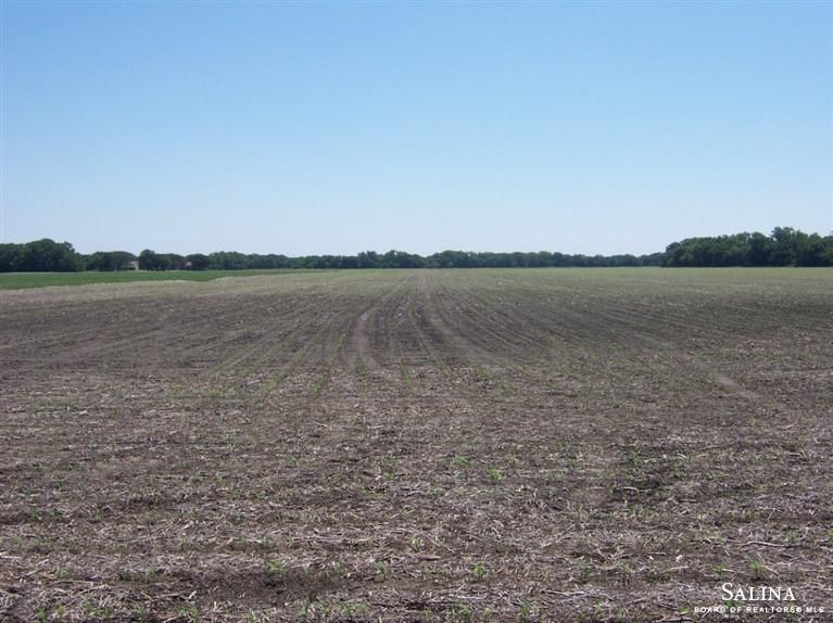0 295 Th Rd, Beverly, KS 67423