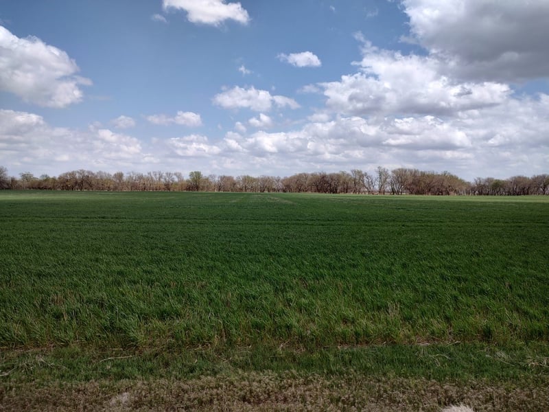 00000 N Giersch, Tescott, KS 67484