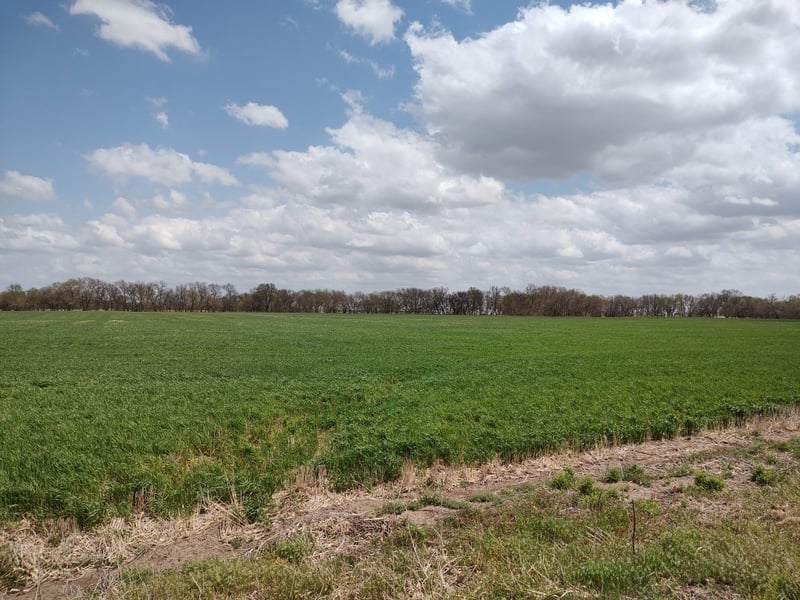 00000 N Giersch, Tescott, KS 67484