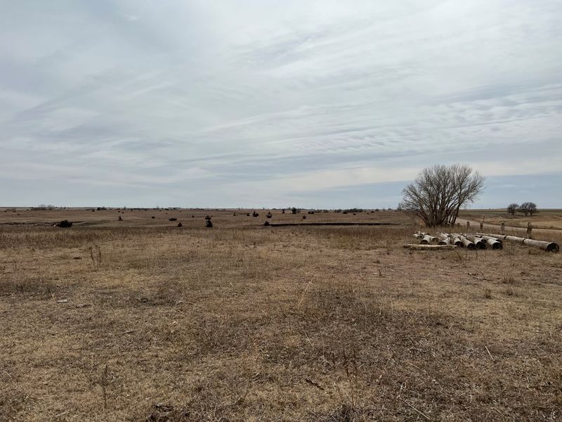 000 Co Rd 44, Otis, KS 67565