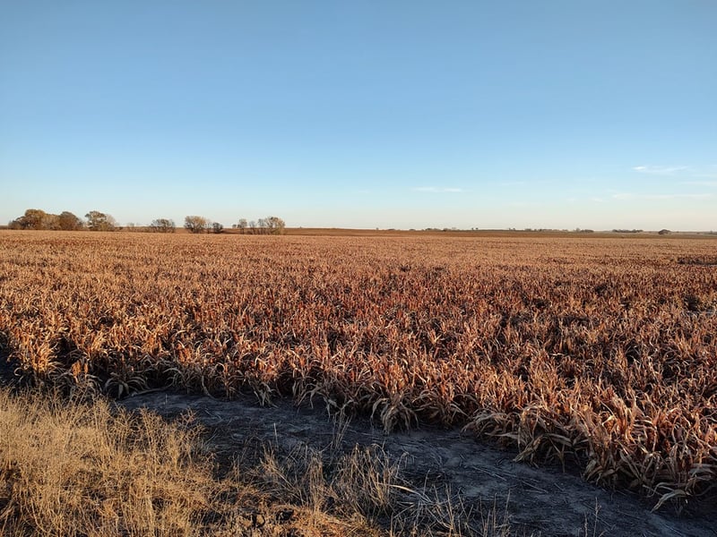 00000 K 18 Hwy, Tescott, KS 67484