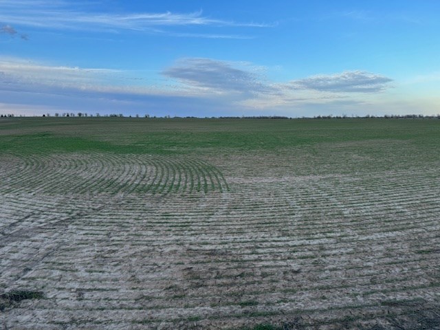 00000 Avenue B, Geneseo, KS 67444