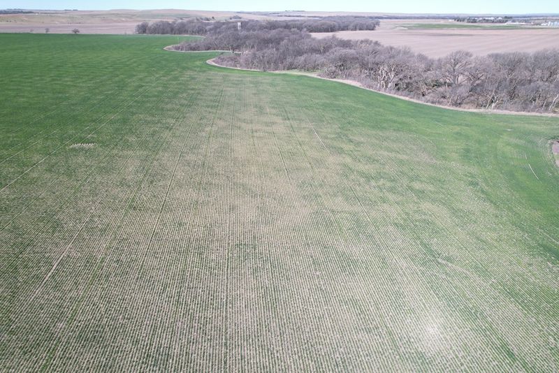 0000 E Perch Ln, Sylvan Grove, KS 67481