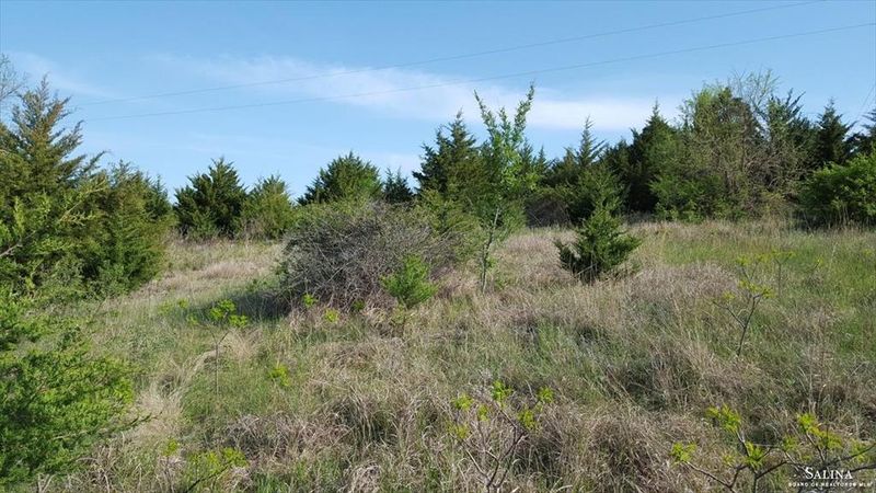 1724 Cedar Dr, Bennington, KS 67422
