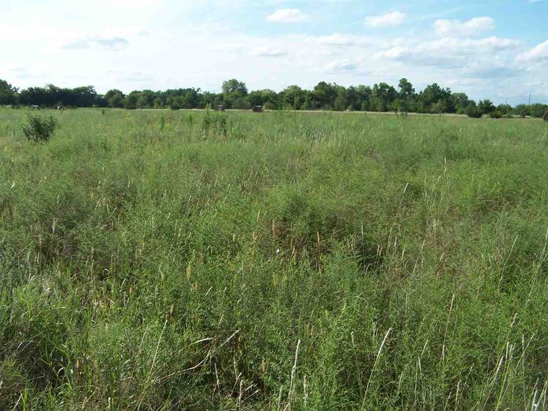6255 S 159th E, Rose Hill, KS 67133