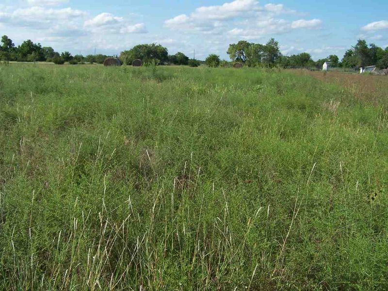 6255 S 159th E, Rose Hill, KS 67133