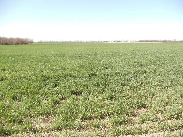 0000 N 231st St, Goddard, KS 67052
