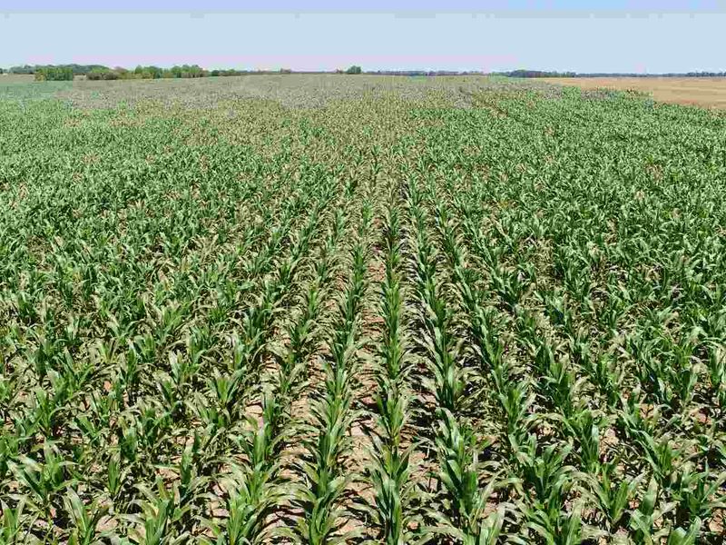 0 NW 40th St, Benton, KS 67017