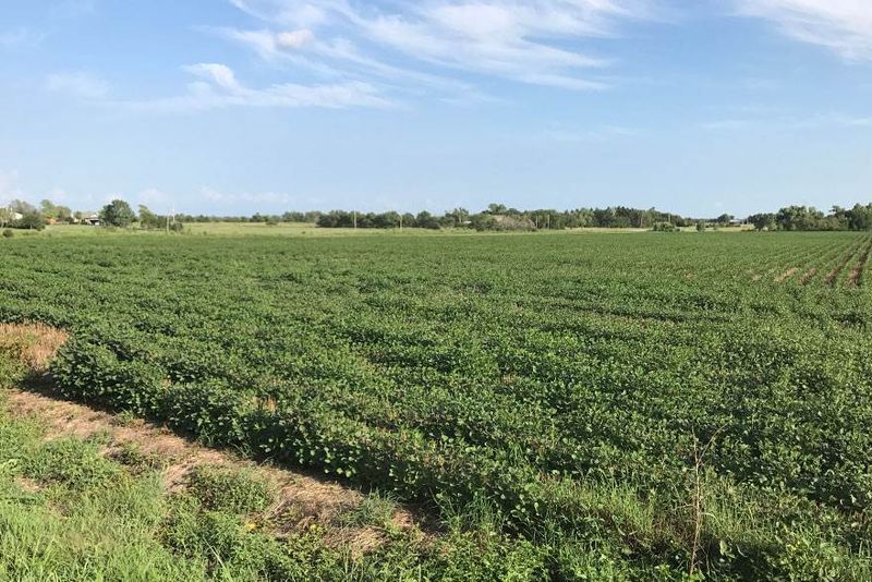48.90 Acres, Clearwater, KS 67026