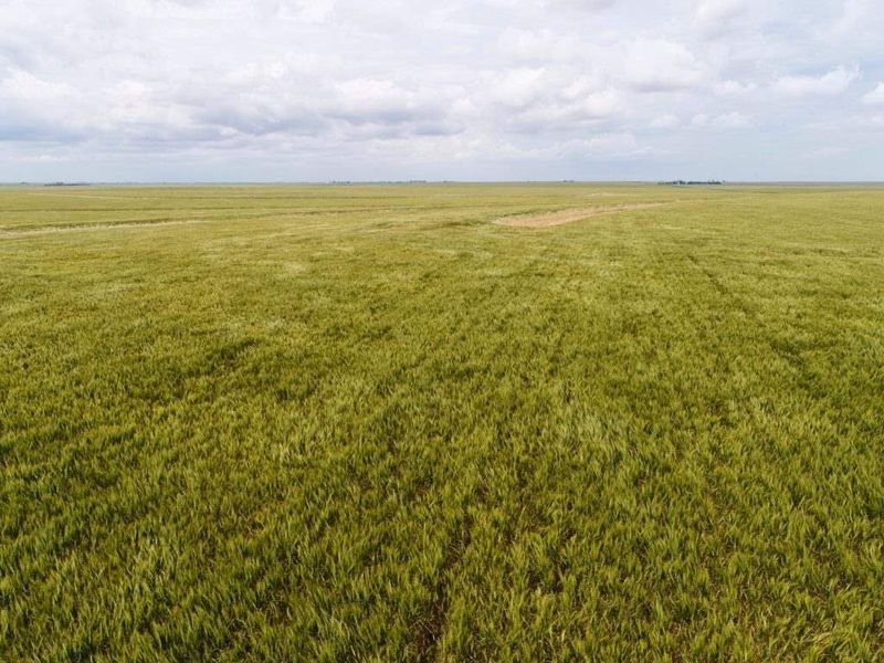 000 26 Road, Meade, KS 67864