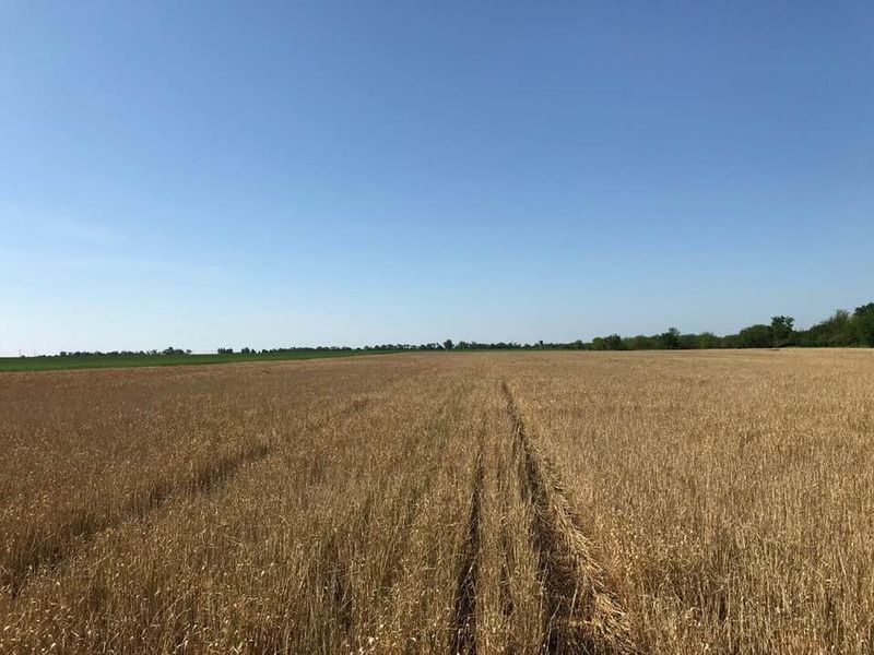 000 W 87th St S, Viola, KS 67149