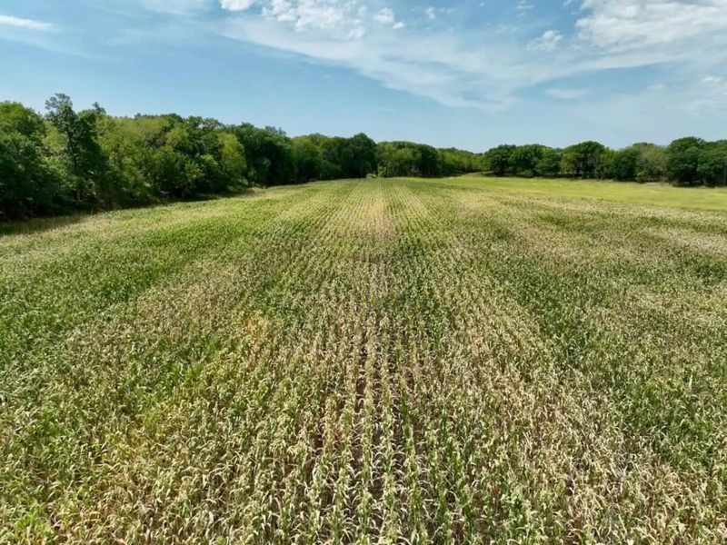 000 T Rd, Eureka, KS 67045