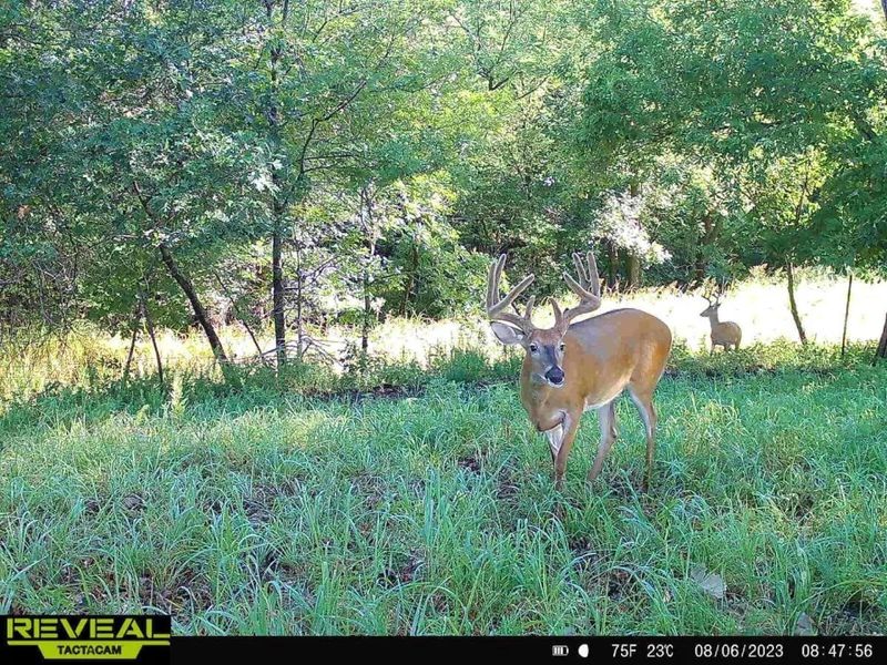 000 T Rd, Eureka, KS 67045