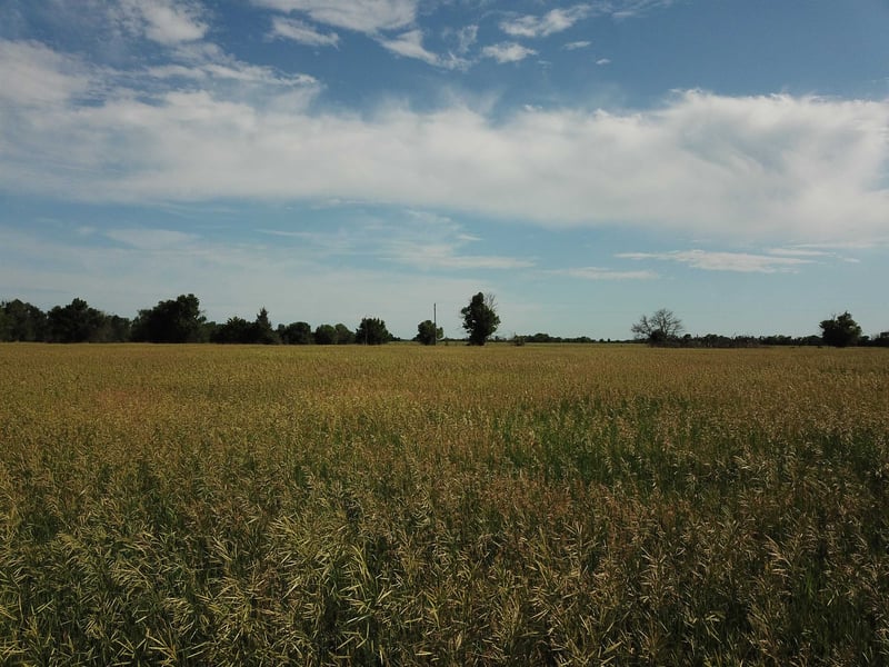 0000 Rock Rd, Howard, KS 67349