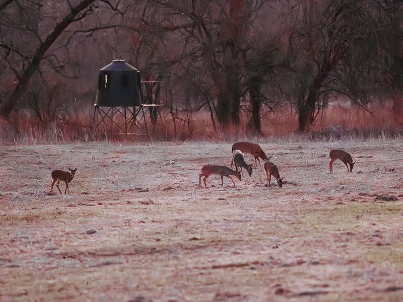 0000 202nd Rd, Cedar Vale, KS 67024
