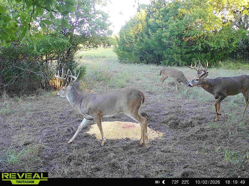 00000 201st Rd, Burden, KS 67019-9348