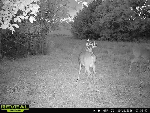 00000 201st Rd, Burden, KS 67019-9348