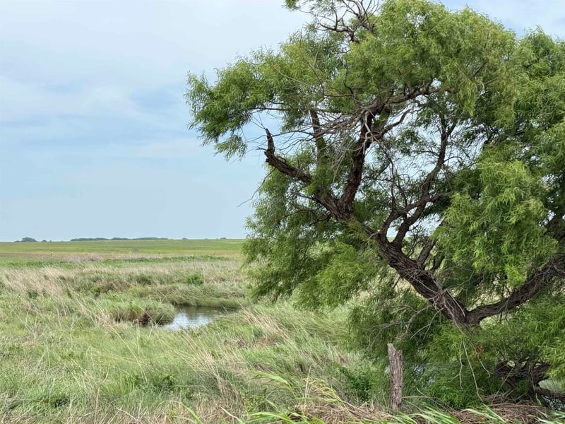 S Argonia Rd, Caldwell, KS 67022
