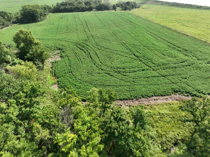 0 Coyote Rd, Gridley, KS 66852