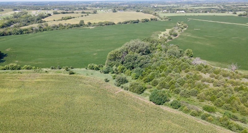 NEc of NW Hoch Rd & Nw 86th St Tract 3, Silver Lake, KS 66539