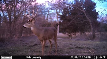 11827 SW 180th St, Rose Hill, KS 67133