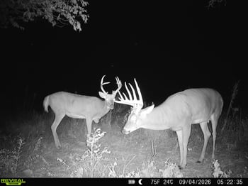 0000 SW Tumbleweed Rd, Andover, KS 67002