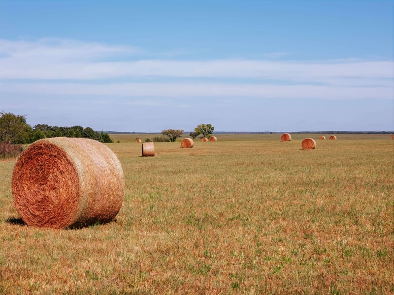 0 Blackjack Rd, Toronto, KS 66777