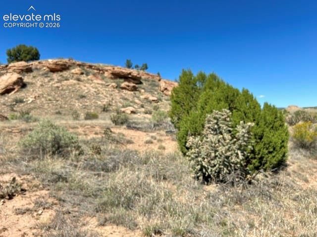 0 Bowie Rd, Penrose, CO 81240