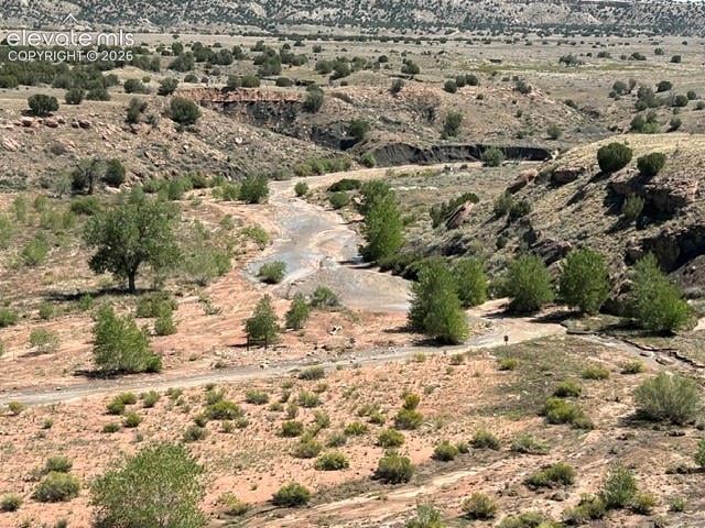0 Bowie Rd, Penrose, CO 81240