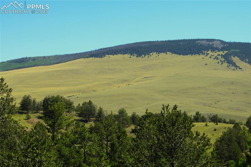 0 Highway 9, Guffey, CO 80820