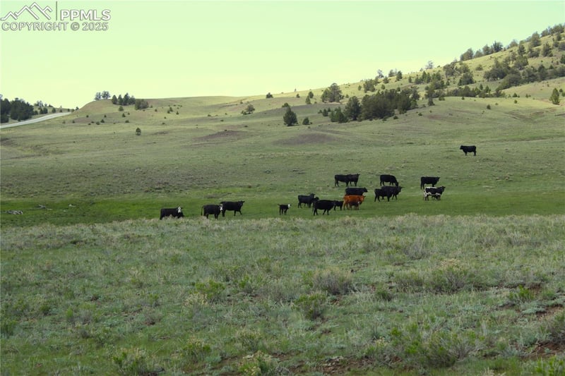0 Highway 9, Guffey, CO 80820