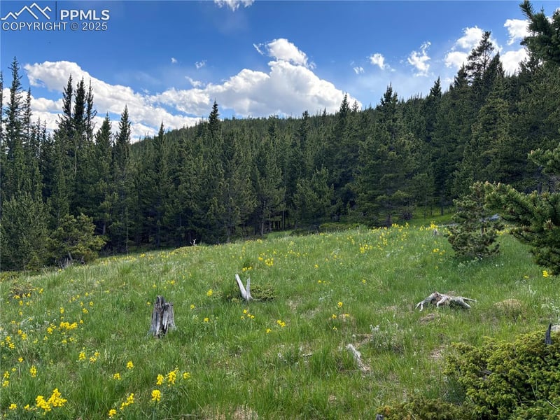 0 Hilltop Rd, Idaho Springs, CO 80452
