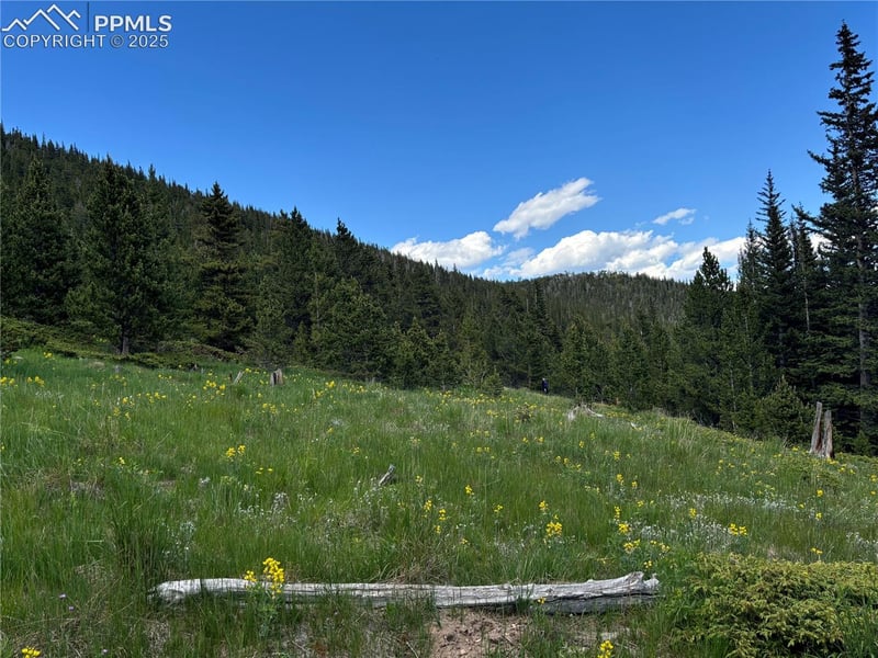 0 Hilltop Rd, Idaho Springs, CO 80452