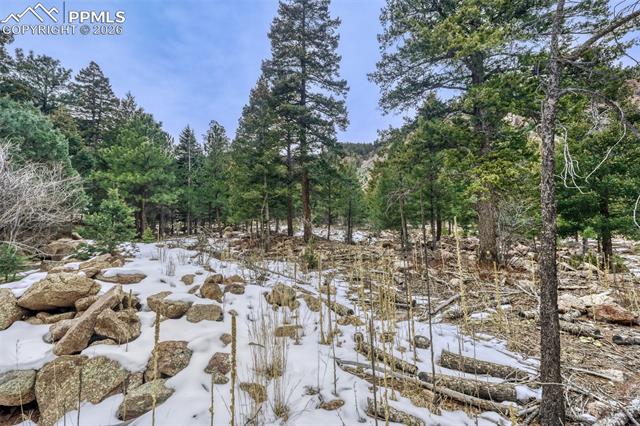 0 Rock Ridge Rd, Palmer Lake, CO 80133
