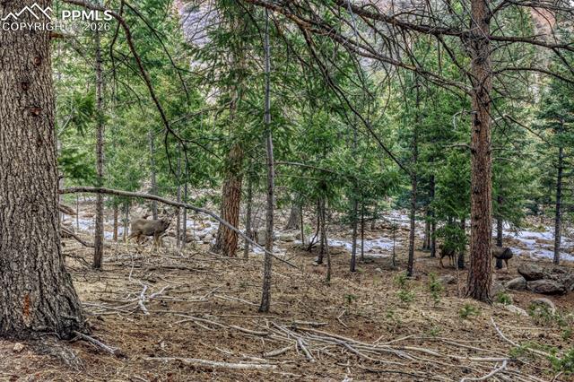 0 Rock Ridge Rd, Palmer Lake, CO 80133