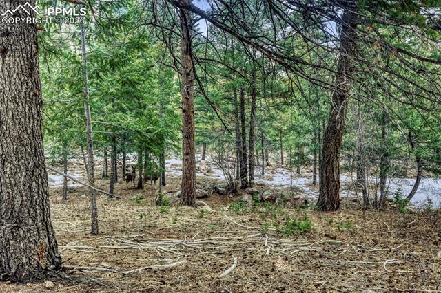 0 Rock Ridge Rd, Palmer Lake, CO 80133