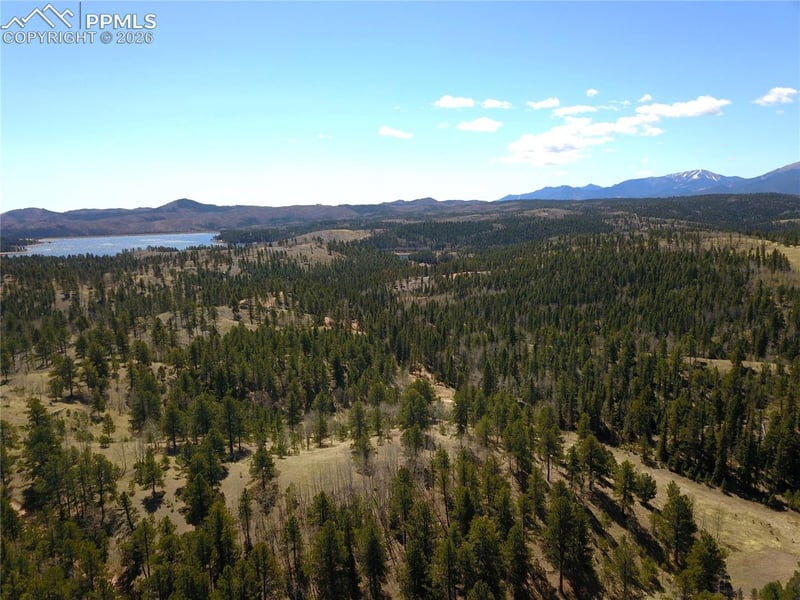 0 Schubarth Trl, Woodland Park, CO 80863