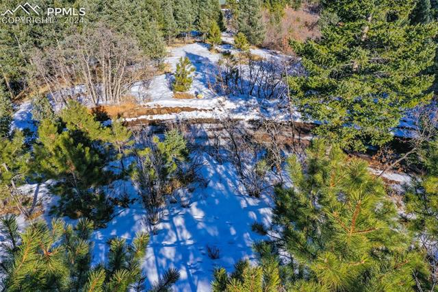 0 Shoshone Rd, Cascade, CO 80809