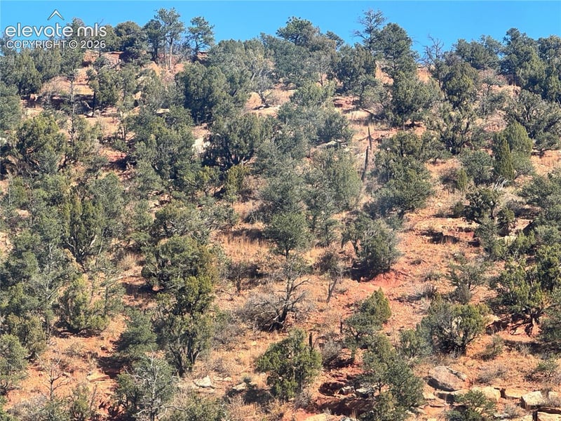 0 Tarrant St, Manitou Springs, CO 80829