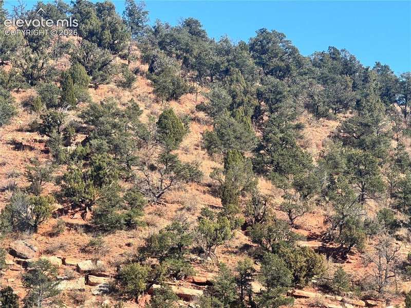 0 Tarrant St, Manitou Springs, CO 80829