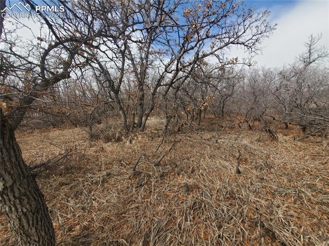 0 Thacker Rd, Colorado City, CO 81069