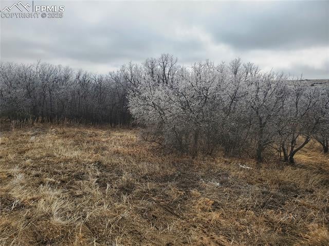 0 Thacker Rd, Colorado City, CO 81069