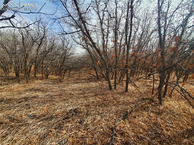 0 Thacker Rd, Colorado City, CO 81069