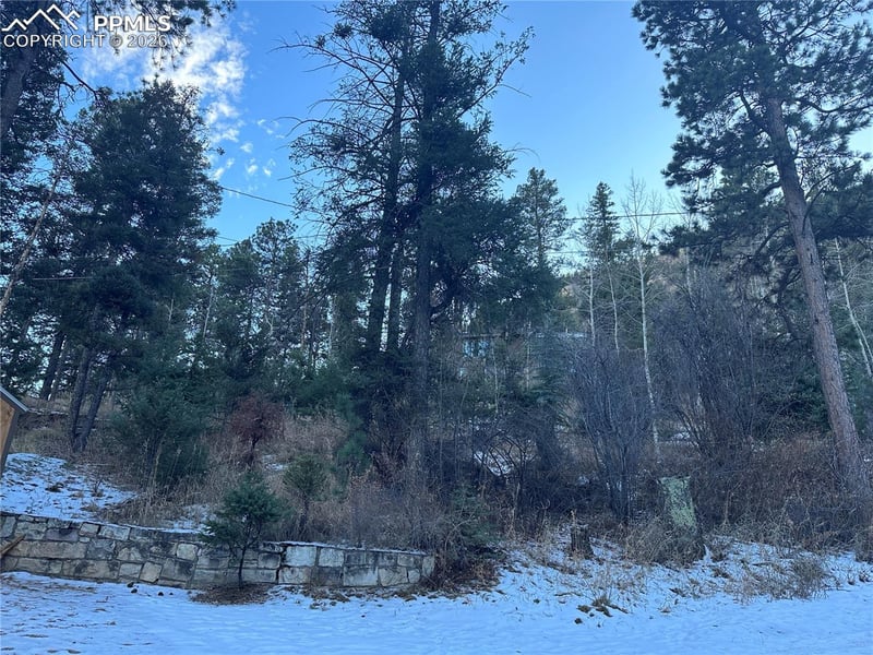 0 Wildwood Rd, Cascade, CO 80809