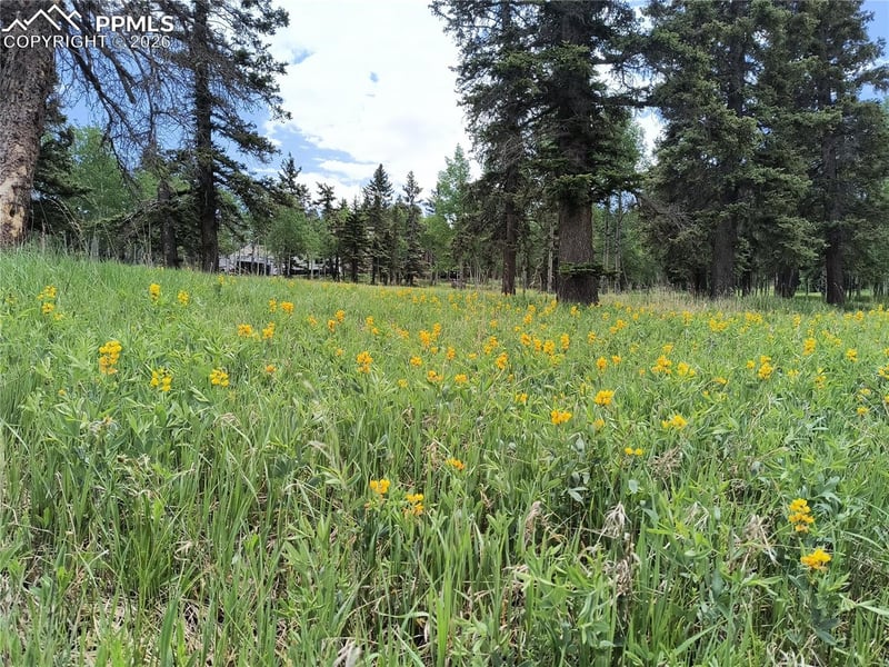 0 Will Scarlet Dr, Divide, CO 80814