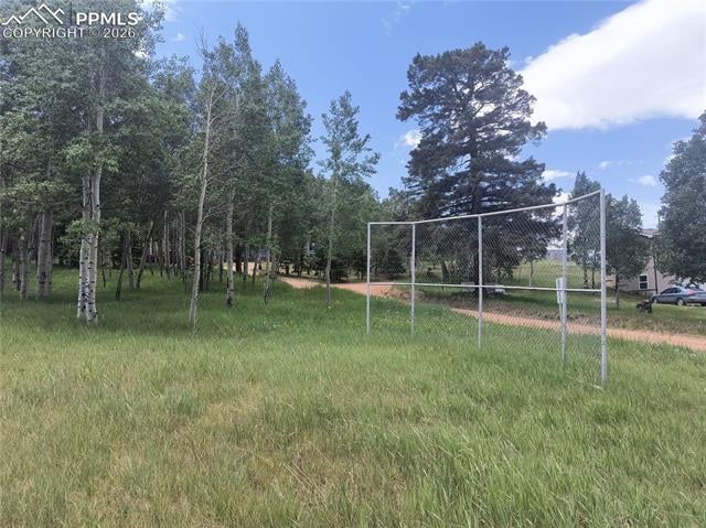 0 Will Scarlet Dr, Divide, CO 80814