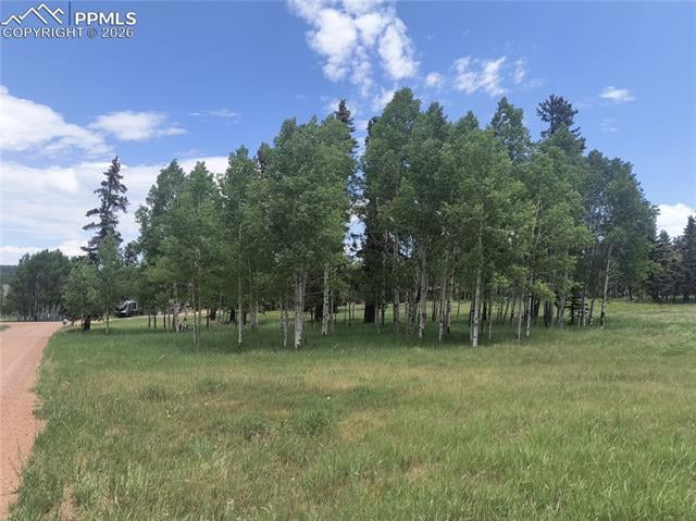 0 Will Scarlet Dr, Divide, CO 80814