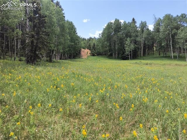0 Will Scarlet Dr, Divide, CO 80814