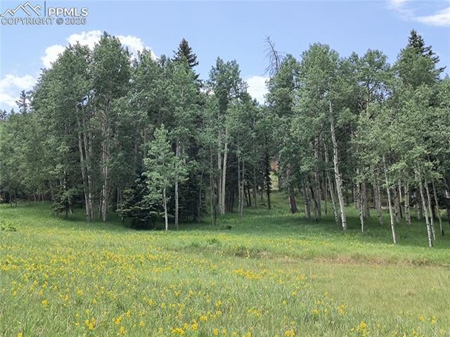 0 Will Scarlet Dr, Divide, CO 80814