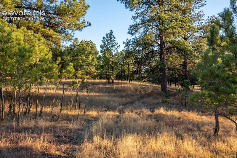 0 Woodhaven Ridge Rd, Parker, CO 80134